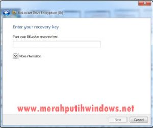 Atasi Lupa Password Bitlocker