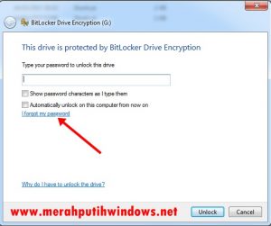 Atasi Lupa Password Bitlocker