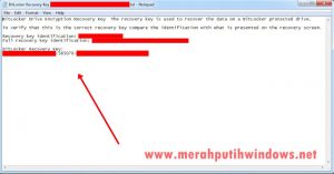 Atasi Lupa Password Bitlocker