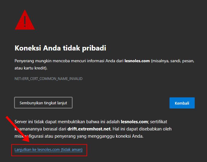 Cara Login Plesk Panel